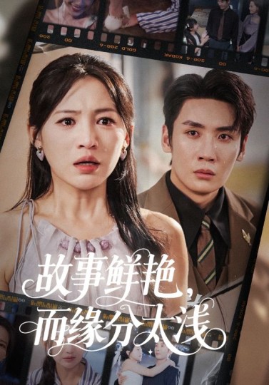 故事鲜艳，而缘分太浅